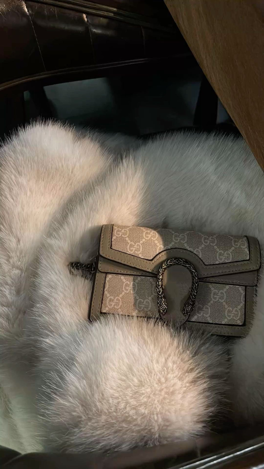 Gucci dyonisus beige